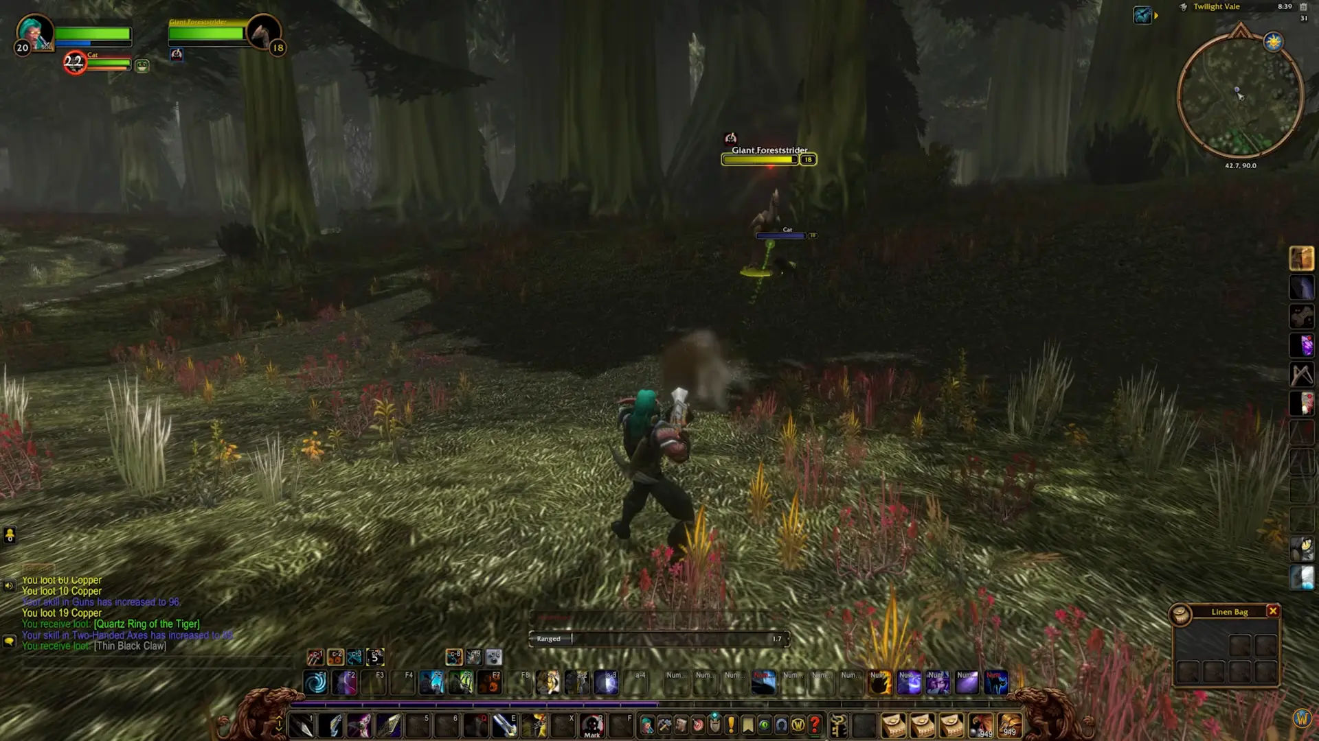 Level 20 Hunter